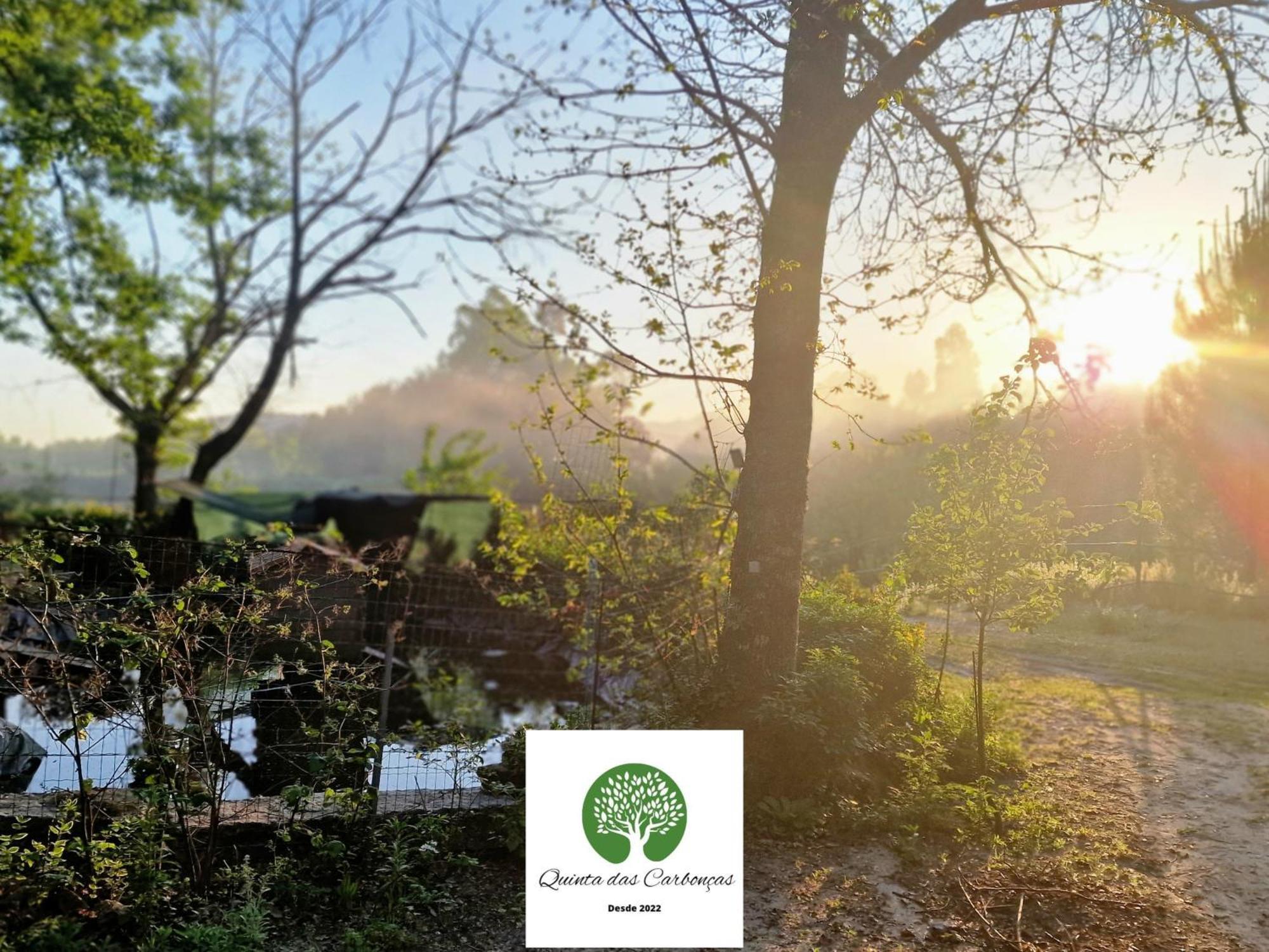 Quinta Das Carboncas Fafe Dış mekan fotoğraf