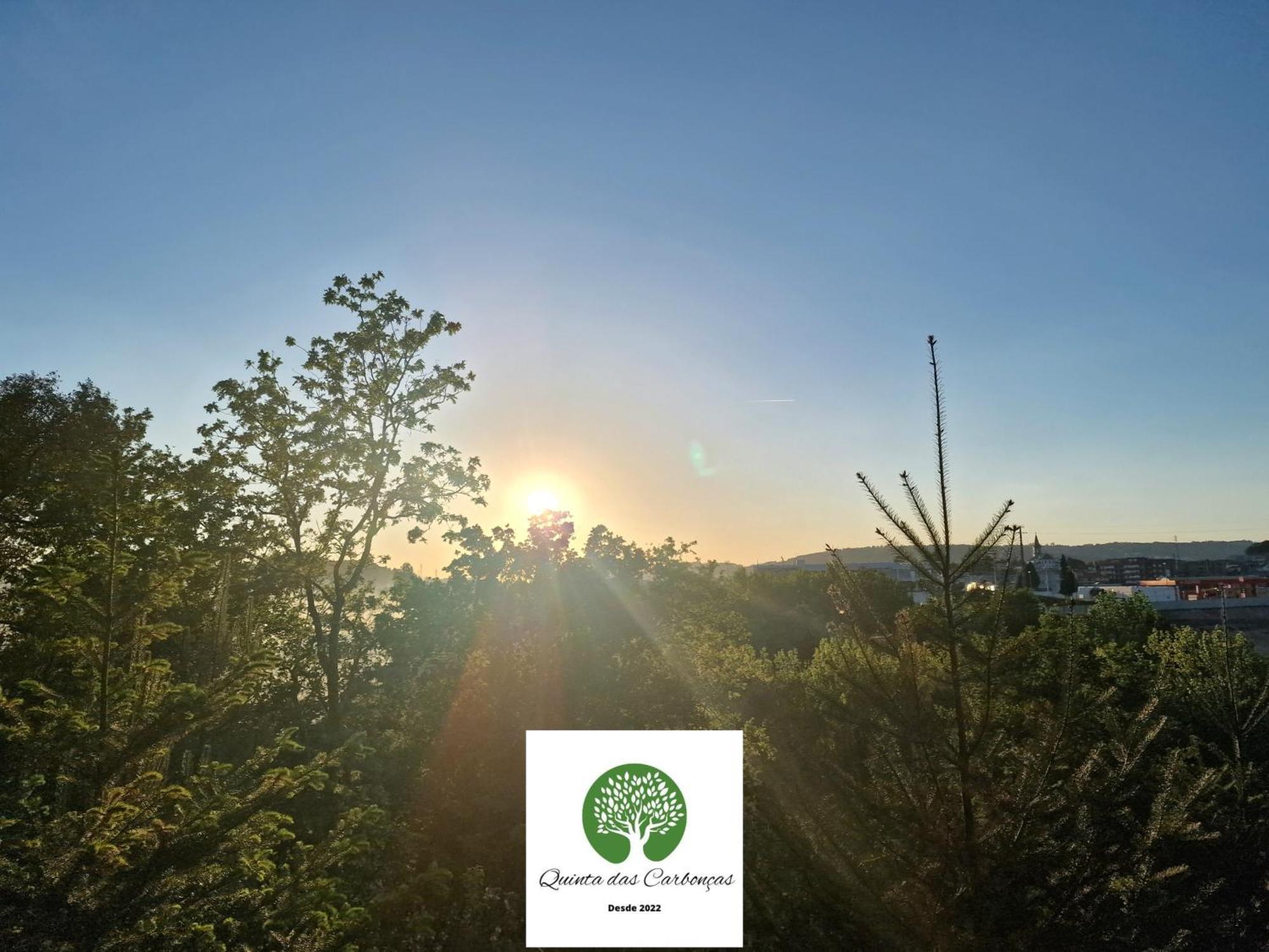 Quinta Das Carboncas Fafe Dış mekan fotoğraf