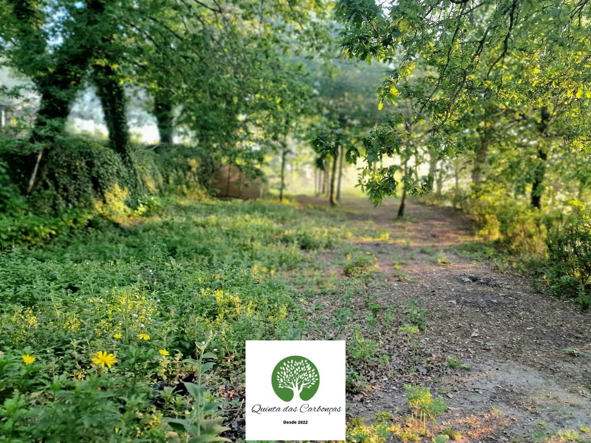 Quinta Das Carboncas Fafe Dış mekan fotoğraf