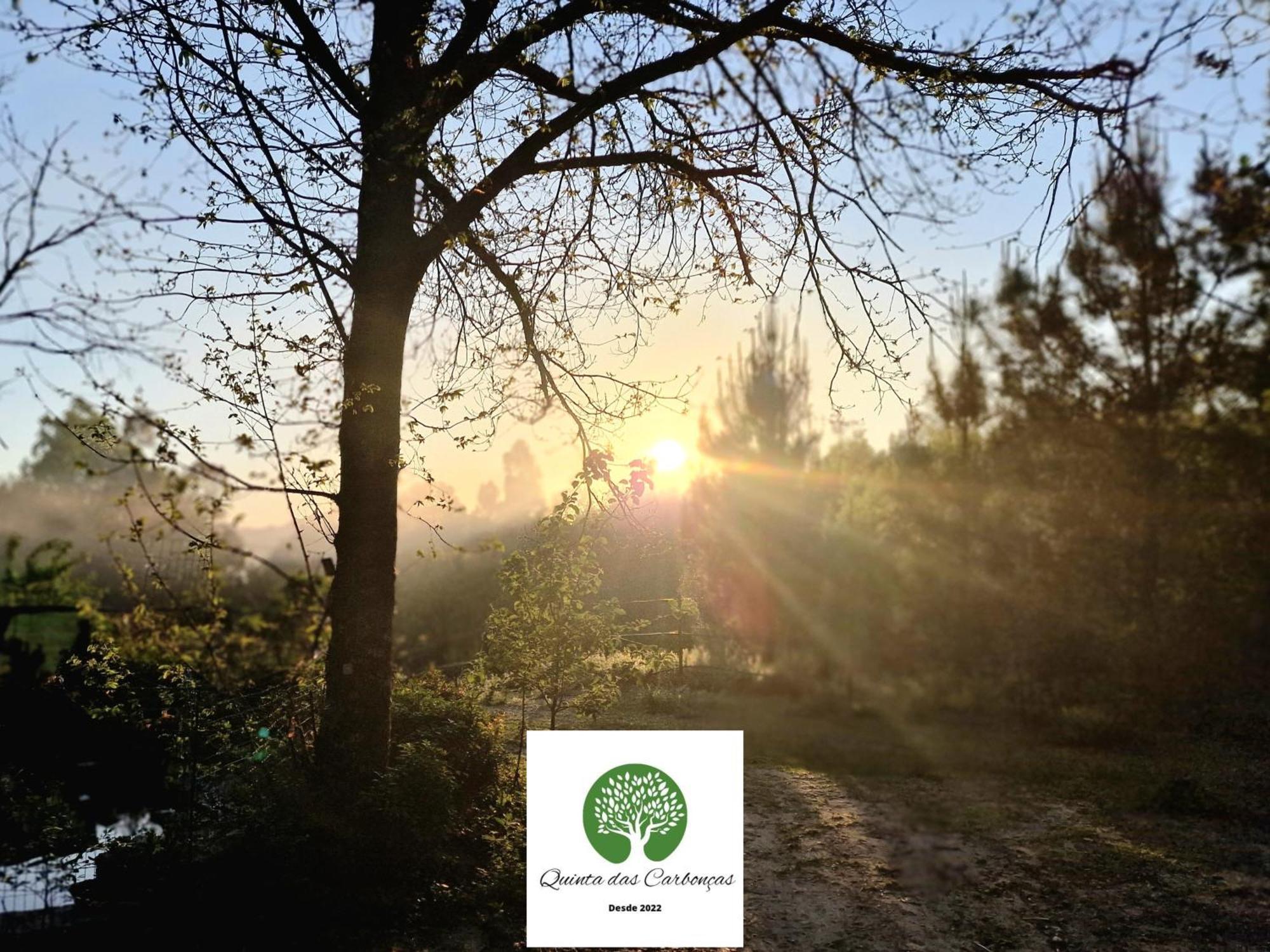 Quinta Das Carboncas Fafe Dış mekan fotoğraf