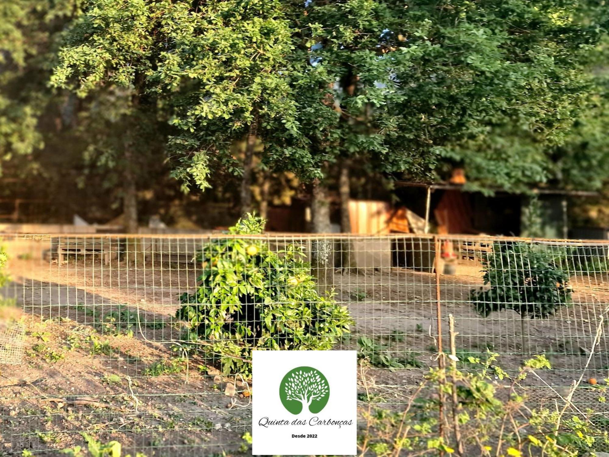 Quinta Das Carboncas Fafe Dış mekan fotoğraf
